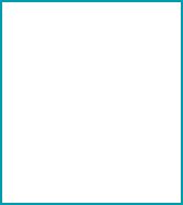 automobiles